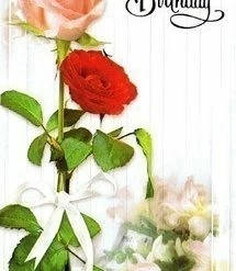 Cheapest ❤️ Hi 🥳 Birthday - Twin Roses 🌟