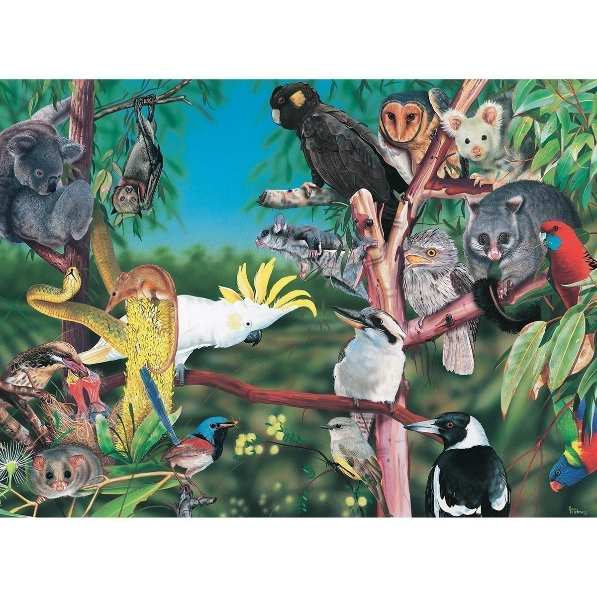 Promo โจ Blue Opal - Wild Australia - Treetops - 300 Piece Puzzle ๐ - Image 2