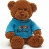 Flash Sale ⭐ Gund - 30cm Message Bear - Happy 🥳 Birthday 😉
