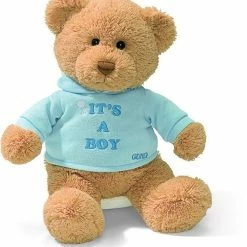 Top 10 🥰 Gund - 30cm Message Bear - It's A Boy T-Shirt Bear 💯