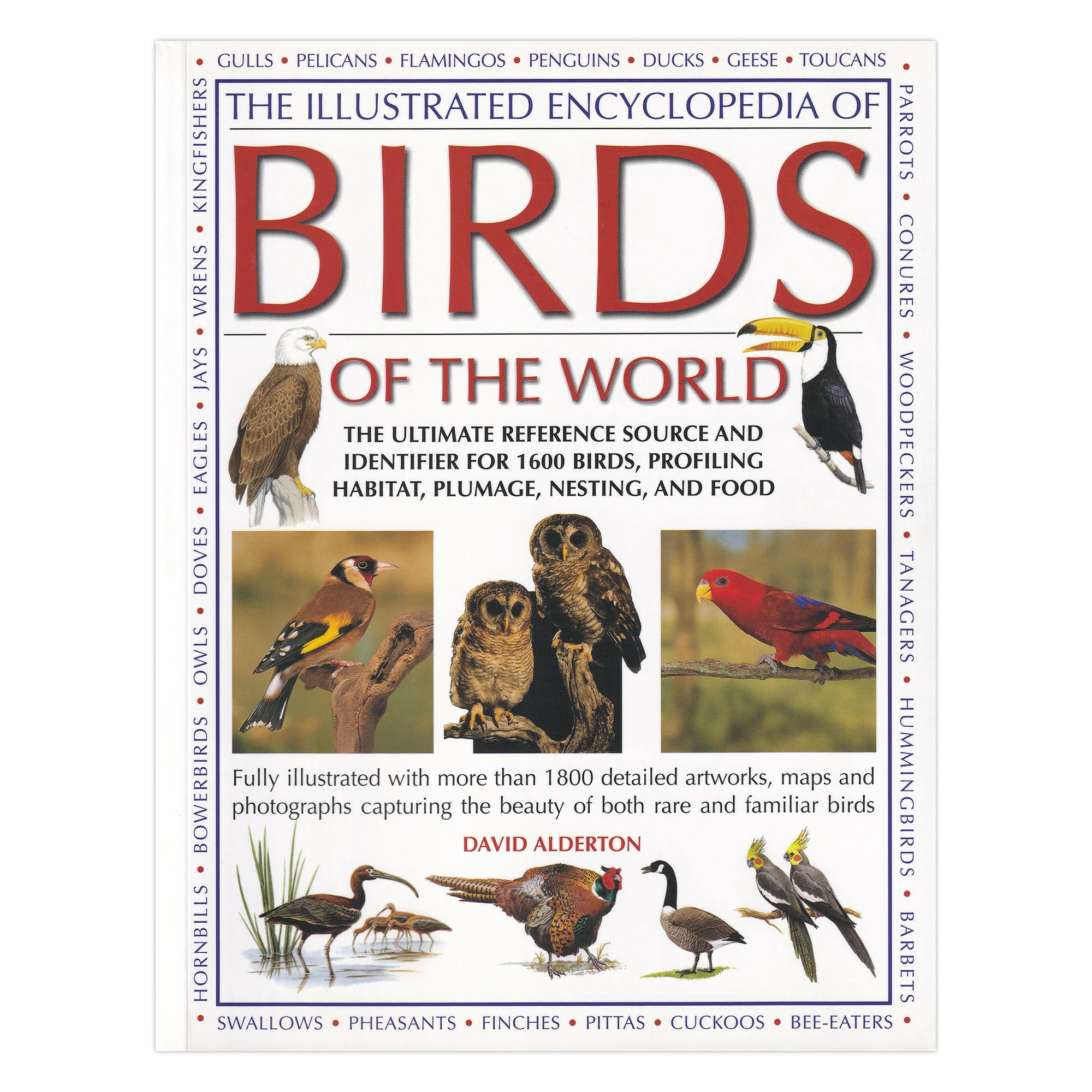 Top 10 π Hinkler Books The Illustrated Encyclopedia Of Birds Of The World π